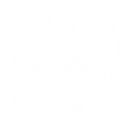 NeuraStim icon